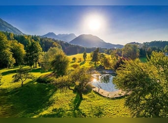 Finca de ensueño en el sur de Carintia con un potencial de desarrollo excepcional