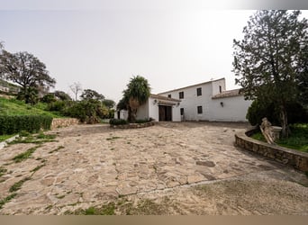 Finca Ecuestre de alto nivel en venta.
