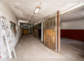 Finca Ecuestre de alto nivel en venta.