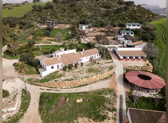 Finca Ecuestre de alto nivel en venta.