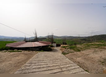 Finca Ecuestre de alto nivel en venta.