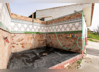 Finca Ecuestre de alto nivel en venta.