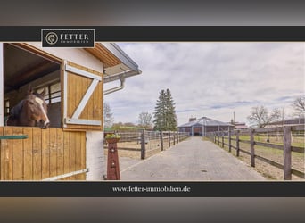 Finca ecuestre en Baja Sajonia en venta, en un terreno de aproximadamente 3 hectáreas, ¡ya reformada
