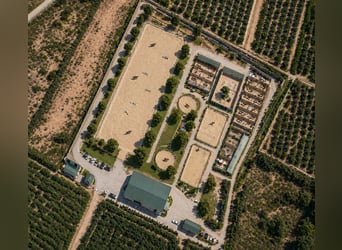 Finca ecuestre en Valencia