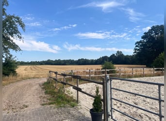 Finca restaurada con instalaciones para caballos y apartamento independiente
