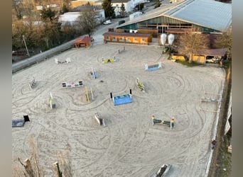 Gepflegte Reitanlage direkt an der Grenze zur Schweiz!