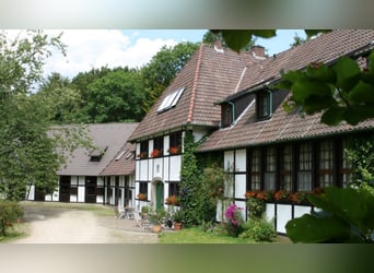 Gestütsanwesen in Alleinlage zu verkaufen