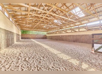 Granja ecuestre en Renania-Palatinado con 8 boxes para caballos y una pequeña pista cubierta en Nied