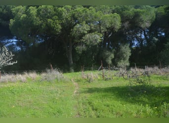 Hermosa finca en medio de una naturaleza maravillosa