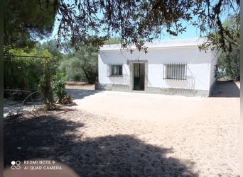 Hermosa finca en medio de una naturaleza maravillosa