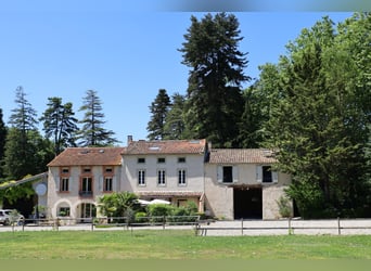 Hermosa propiedad en el sur de Francia que cuenta con tres casas, una piscina climatizada y más de 2