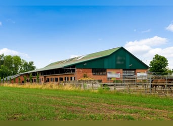 Hippisch complex met binnen- en buitenpiste