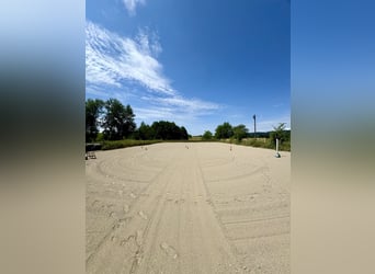 Histórico hacienda con agricultura en una superficie de 40 hectáreas y cría de caballos, cerca del L
