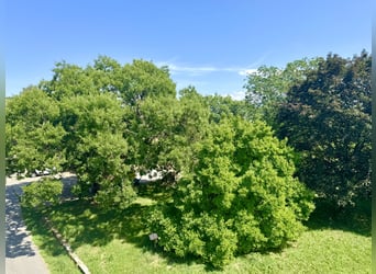 Histórico hacienda con agricultura en una superficie de 40 hectáreas y cría de caballos, cerca del L