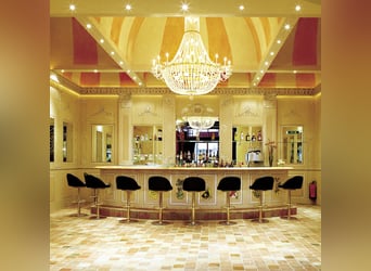 Historisches Großanwesen mit Park, eigenem See für Natur- und Tierliebhaber!