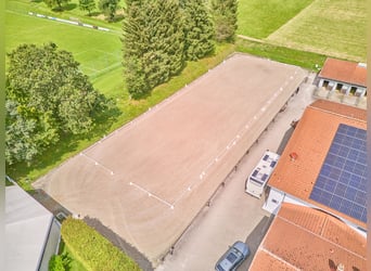 Hochwertige Reitanlage in Nieder-Moos mit optimalen Trainingsbedingungen in See-Nähe!