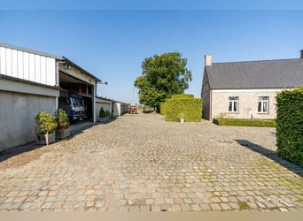 Hoogwaardig afgewerkte villa met stalgebouw en aanpalende weides op ca. 1,7 ha te Herenthout