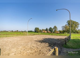 Hoogwaardig afgewerkte villa met stalgebouw en aanpalende weides op ca. 1,7 ha te Herenthout