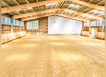 Instalaciones de equitación de primera categoría