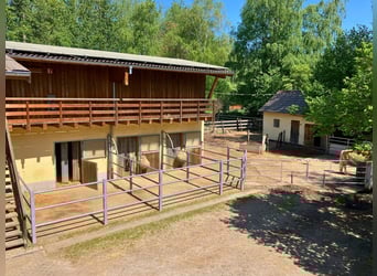 Instalaciones ecuestres con pista cubierta en el valle del Werra – paraíso privado para caballos en