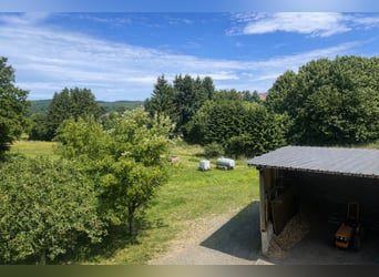 Instalaciones ecuestres con vivienda y unidad comercial en Hohenahr - alta rentabilidad - versátil y