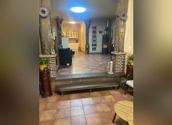 Instalaciones ecuestres para cría, deporte y rehabilitación