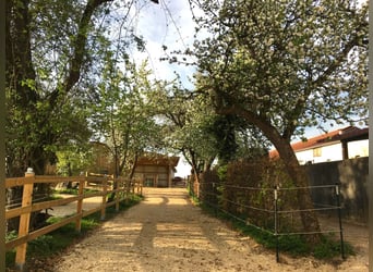 Joya en el Parque Natural del Altmühltal: casa de campo cuidadosamente restaurada con pequeña y mode