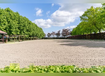 Kapelstraat 12 - 14 Leende Beautiful, complete equestrian accommodation 