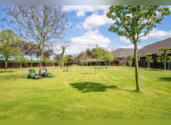 Kapelstraat 12 - 14 Leende Beautiful, complete equestrian accommodation 