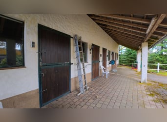 Libertad en 17 hectáreas: Amplia finca en ubicación aislada con pista de equitación, piscina y reser