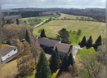 Libertad en 17 hectáreas: Amplia finca en ubicación aislada con pista de equitación, piscina y reser
