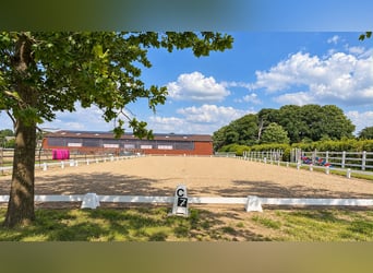 Moderna instalación ecuestre de 3,4 ha – pista cubierta, 13 boxes, cámara de sal y 2 pistas de equit