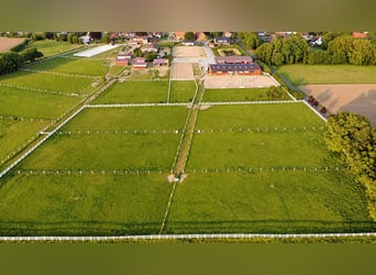 Moderna instalación ecuestre de 3,4 ha – pista cubierta, 13 boxes, cámara de sal y 2 pistas de equit