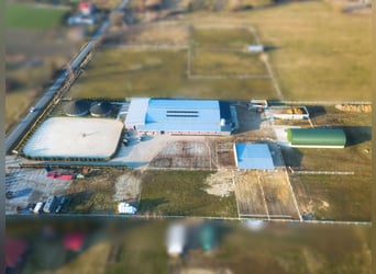 Na sprzedaż nowoczesny ośrodek jeździecki 