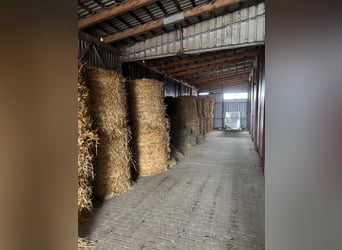 Na sprzedaż nowoczesny ośrodek jeździecki 