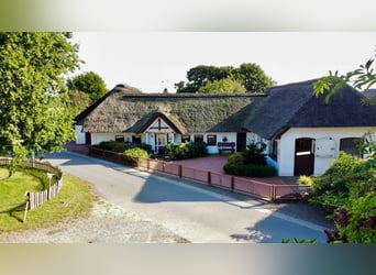 Paradies für Pferdeliebhaber: Reetdachanwesen auf ca. 3,38 ha großen Grundstück mit Nebengebäuden