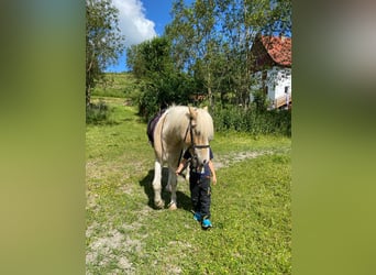 Pequeña granja ecuestre cerca del Lago de Constanza en venta.