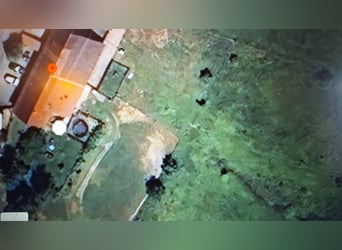 Pequeña granja ecuestre cerca del Lago de Constanza en venta.