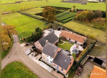 Prachtig gerenoveerde villa met grote garage en stalgebouw op 8.875 m² te Retie