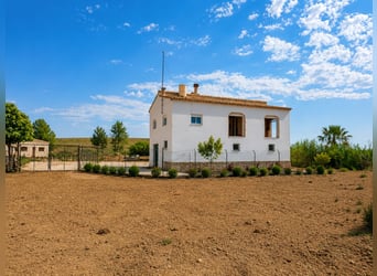 Precioso proyecto ecuestre Junto a OLIVA (MET) junto a parque natural