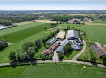 Professioneel hippisch eigendom met luxe villa op ca. 3,5 Ha