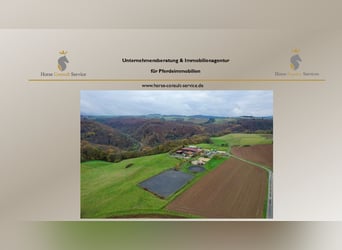 Propiedad ecuestre altamente rentable con amplio terreno para una crianza de caballos en condiciones