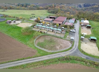 Propiedad ecuestre altamente rentable con amplio terreno para una crianza de caballos en condiciones