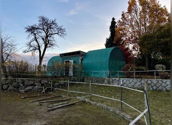 Propiedad ecuestre bien cuidada - 5.000 m², pista de arena y vistas a los Alpes | Cerca de Suiza | G