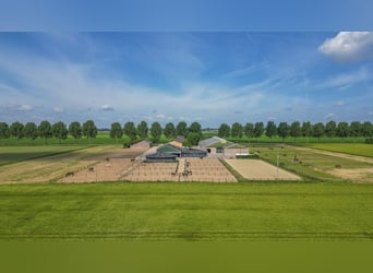 ¡Propiedad ecuestre compacta con vistas despejadas al campo!