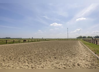 ¡Propiedad ecuestre compacta con vistas despejadas al campo!