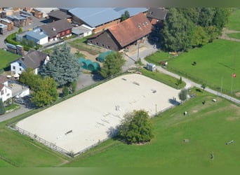 Propiedad ecuestre con 3,3 hectáreas de pasto en Suiza (cerca de San Galo)