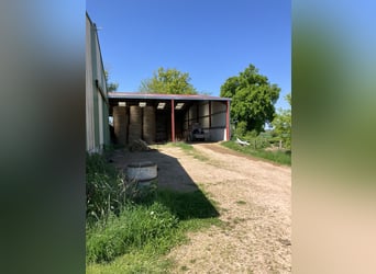 Propiedad ecuestre con vivienda