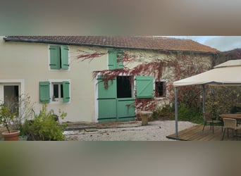 Propiedad ecuestre de carácter en 17 hectáreas