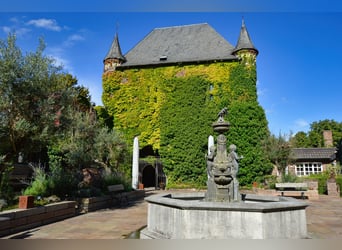 Propiedad histórica de gran tamaño con parque y lago privado, ideal para amantes de la naturaleza y 